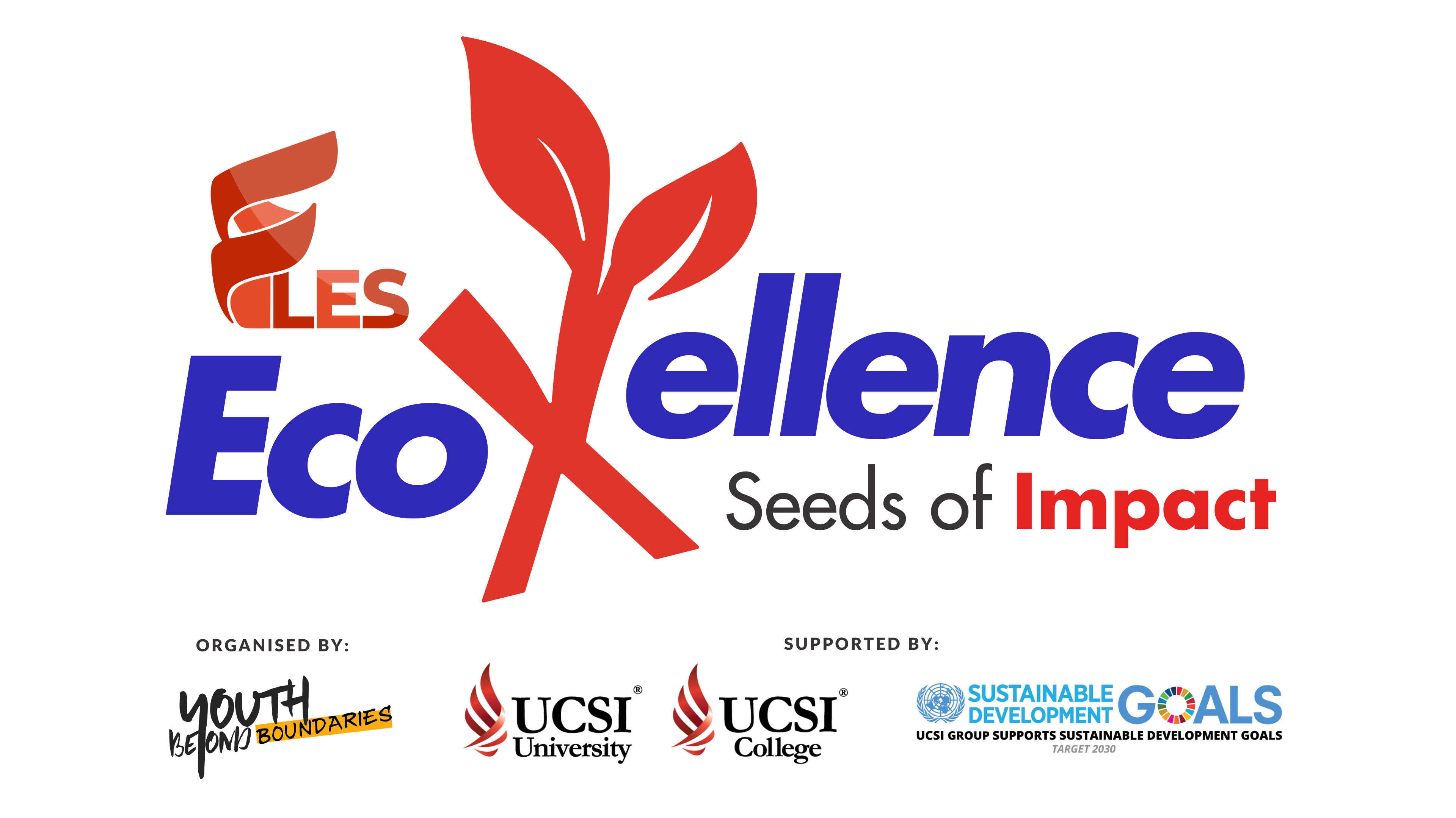 FLES 2025 Logo